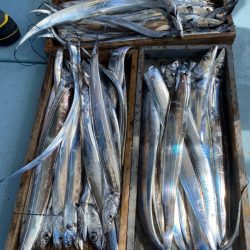 岡田釣船 八英丸 釣果