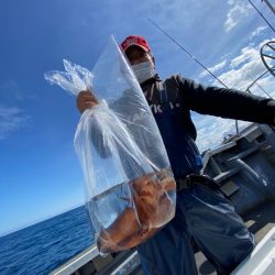 シーランチ 釣果