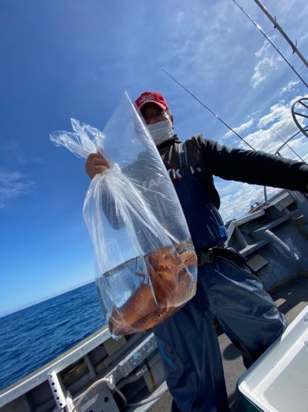 シーランチ 釣果