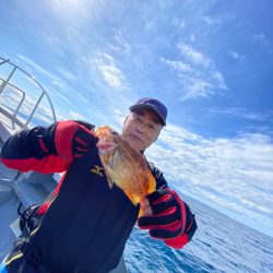 シーランチ 釣果