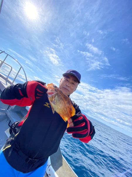 シーランチ 釣果