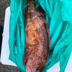 あみや渡船 JIGBOY 釣果