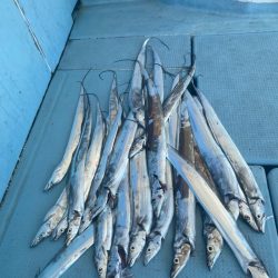 岡田釣船　八英丸 釣果