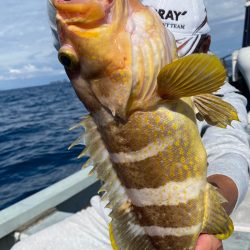 あみや渡船 JIGBOY 釣果