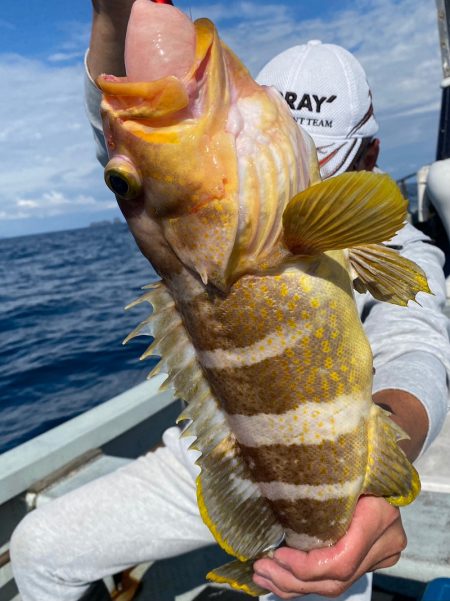 あみや渡船 JIGBOY 釣果