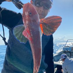 あみや渡船 JIGBOY 釣果