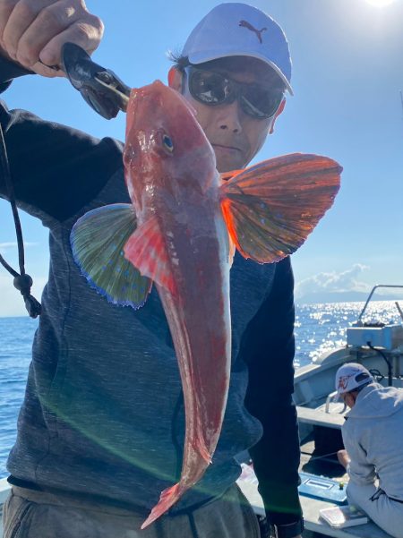 あみや渡船 JIGBOY 釣果