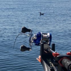 遊漁船高橋 釣果