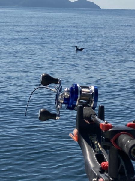 遊漁船高橋 釣果