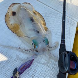 「LaGooN」蒼陽丸 日和号 釣果