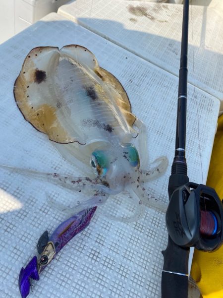 「LaGooN」蒼陽丸 日和号 釣果