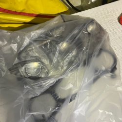 「LaGooN」蒼陽丸 日和号 釣果