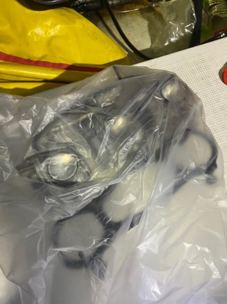 「LaGooN」蒼陽丸 日和号 釣果