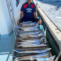 岡田釣船 八英丸 釣果