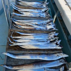 岡田釣船 八英丸 釣果