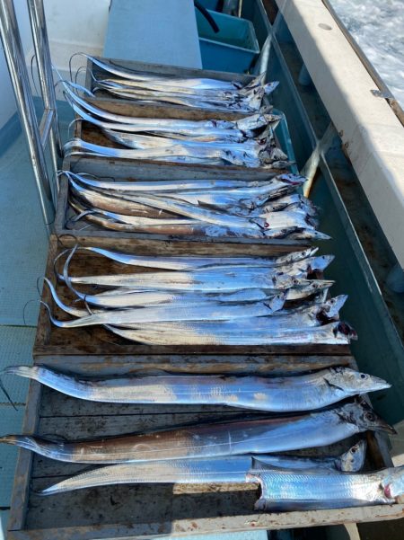 岡田釣船 八英丸 釣果