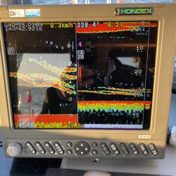 遊漁船ブルーウッズ 釣果