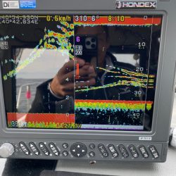 遊漁船ブルーウッズ 釣果