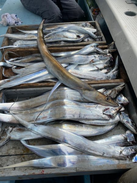 岡田釣船 八英丸 釣果