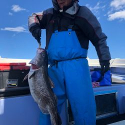 第二 つれたか丸 釣果