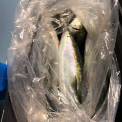 第二八坂丸 釣果