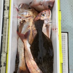 フィッシング　キッタカ 釣果