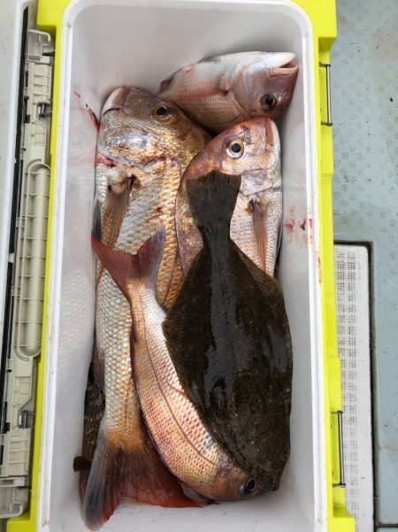 フィッシング　キッタカ 釣果