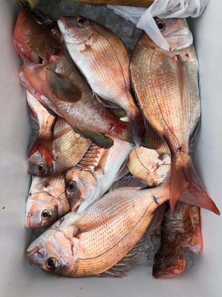 フィッシング　キッタカ 釣果