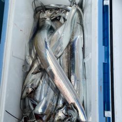 岡田釣船　八英丸 釣果