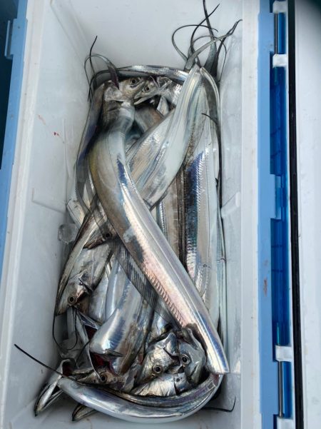 岡田釣船　八英丸 釣果