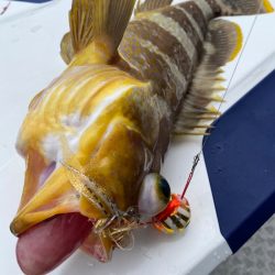 あみや渡船 JIGBOY 釣果