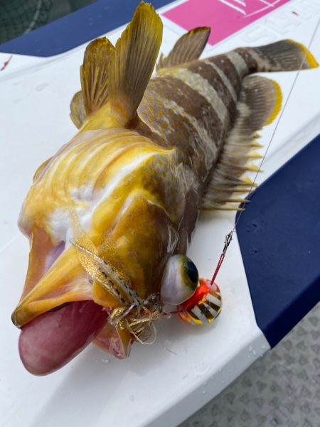 あみや渡船 JIGBOY 釣果