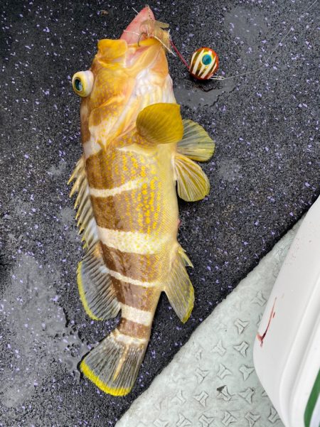 あみや渡船 JIGBOY 釣果