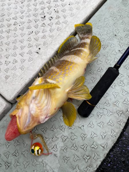 あみや渡船 JIGBOY 釣果