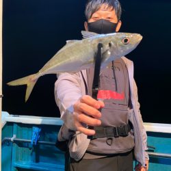 愛海丸 釣果