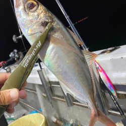 「LaGooN」蒼陽丸 日和号 釣果