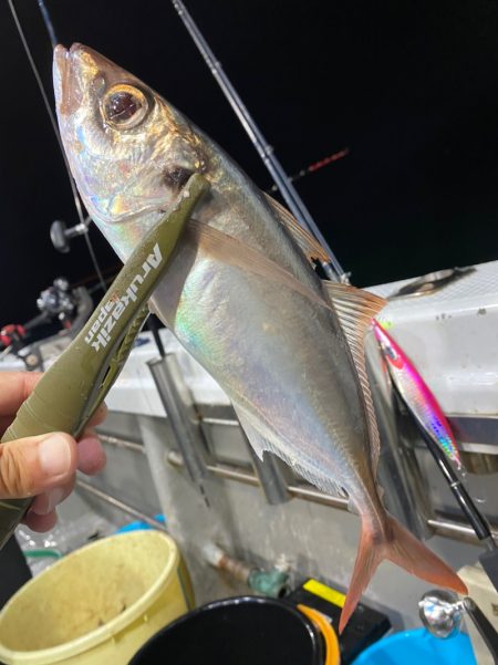 「LaGooN」蒼陽丸 日和号 釣果