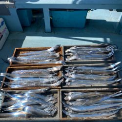 岡田釣船 八英丸 釣果