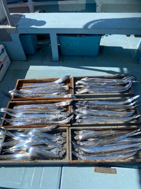 岡田釣船 八英丸 釣果