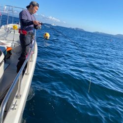 遊漁船ブルーウッズ 釣果