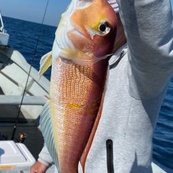 あみや渡船 JIGBOY 釣果