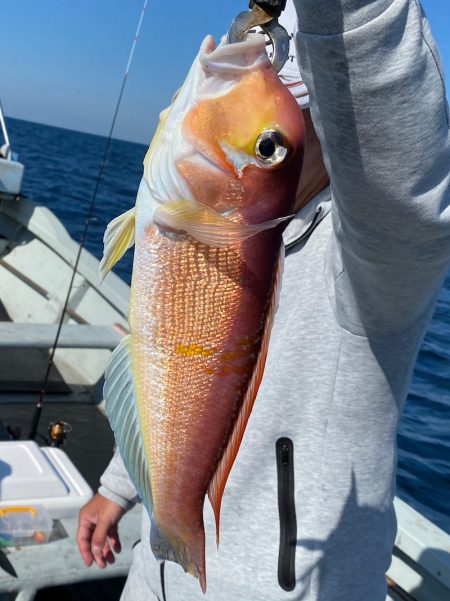 あみや渡船 JIGBOY 釣果