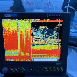 遊漁船ブルーウッズ 釣果