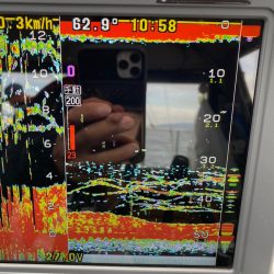 遊漁船ブルーウッズ 釣果