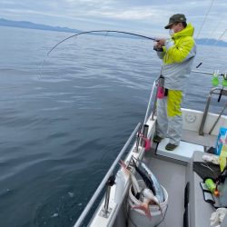 遊漁船ブルーウッズ 釣果