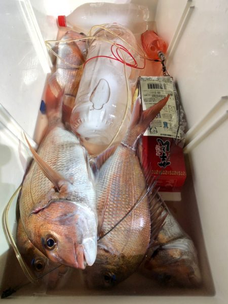 第二八坂丸 釣果