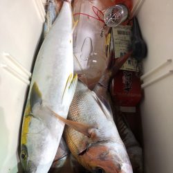 第二八坂丸 釣果