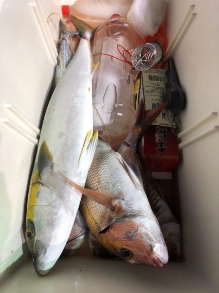 第二八坂丸 釣果