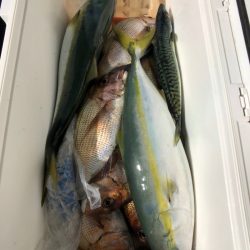 第二八坂丸 釣果