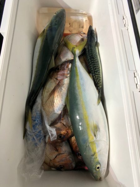 第二八坂丸 釣果